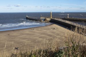 goth whitby 112.jpg